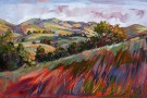 "Colors at Paso" - Oil