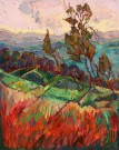 "Colors in the Hills" - Oil